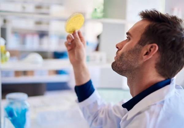 Male lab technician examining a sample in a petri dish while working at a table in a lab