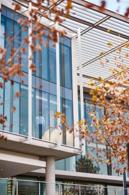 Genç işadamı, modern bir ofis binasının içinde dikilirken pencereden dışarı bakıyor.