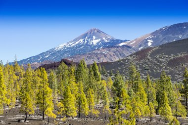 Teide yanardağı Tenerife İspanya