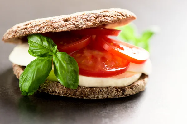 Läcker smörgås med mozzarella — Stockfoto