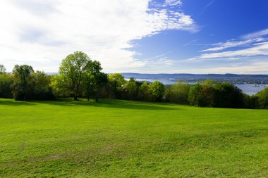Ağaçları ile otsu çayır 