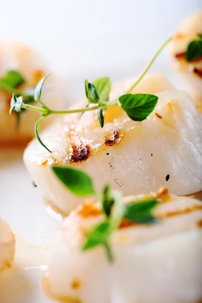 Grilled scallop with thyme leaves — Stock Photo, Image