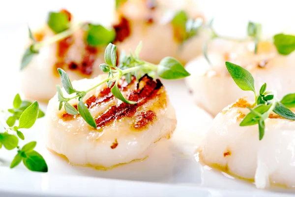 Grilled scallops with thyme leaves — Stock Photo, Image