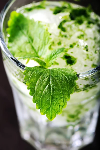 Mojito cocktail με φύλλα δυόσμου — Φωτογραφία Αρχείου