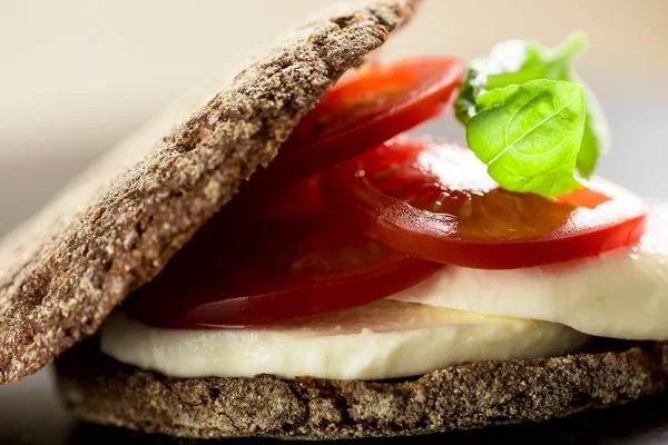 Smörgås med mozzarella och tomater — Stockfoto