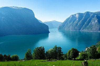 Yazın Norveç 'te Sognefjord. Güneşli bir gün, dağlı, fiyortlu, ormanlı bir manzara.