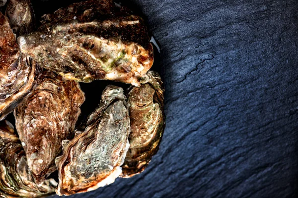 Rauwe Oesters Steenoppervlak Met Kopieerpasta — Stockfoto