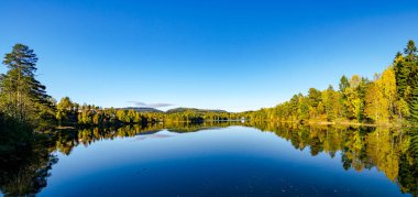 Güneşli bir günde Norveç 'in Asker kenti yakınlarındaki bir gölde orman yansıması