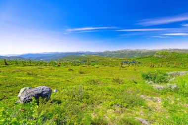 İskoçya 'nın yaz manzarası, Gaustatoppen, Telemark, Norveç' e yakın.