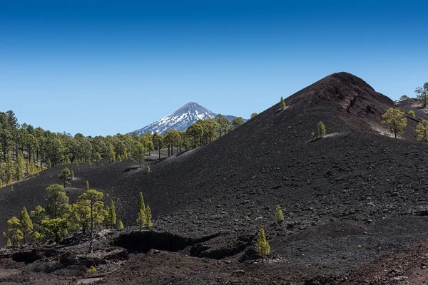 Vulkansk landskap – stockfoto