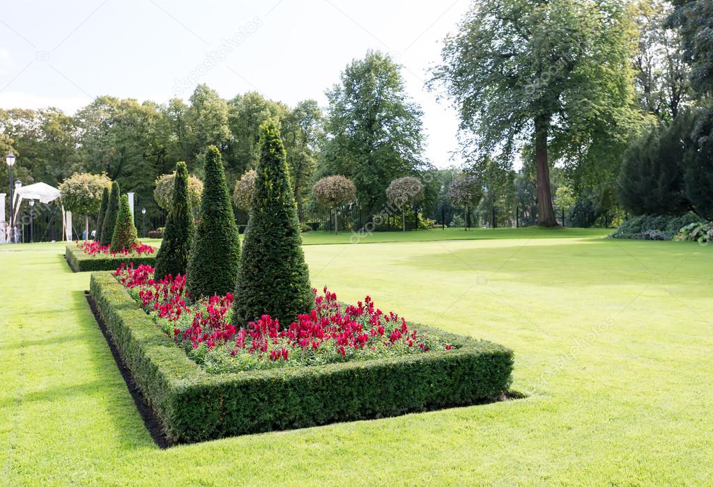 Trees in city garden