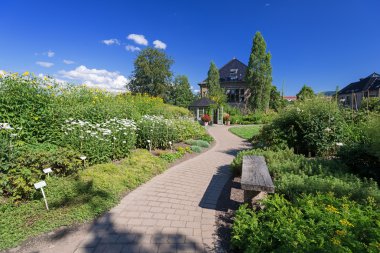 Botanik Bahçesi Oslo