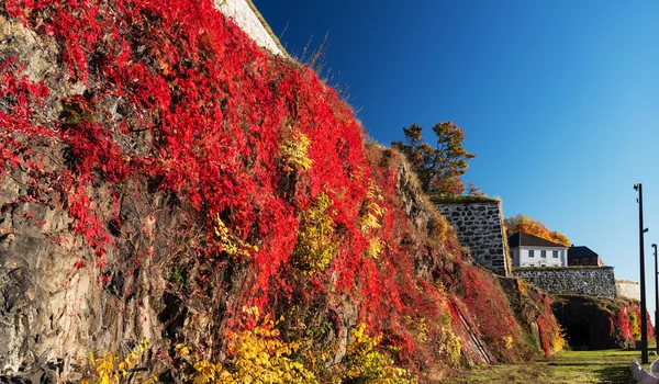 Val op fort Akershus bekijken — Stockfoto