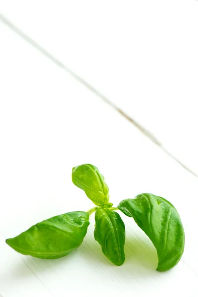 Basil on wooden table — Stock Photo, Image