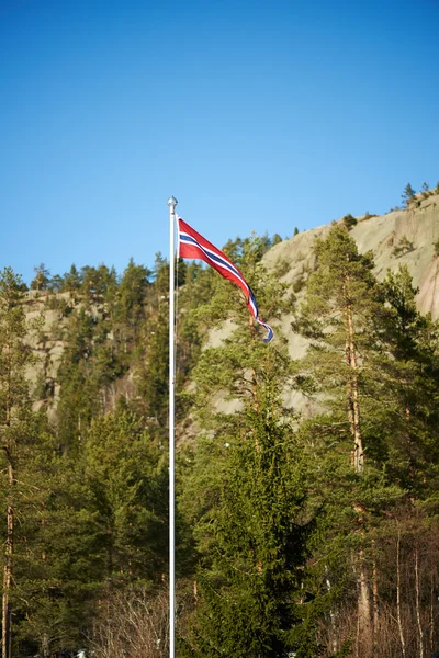 Норвежский флаг на шесте — стоковое фото
