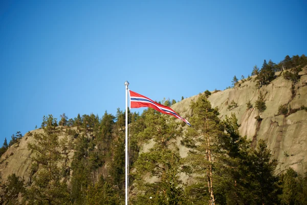Норвежское знамя на шесте — стоковое фото