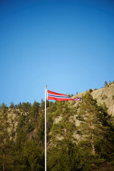 Kutup Norveç bayrağı — Stok fotoğraf