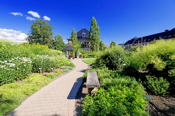 Bank im botanischen Garten — Stockfoto