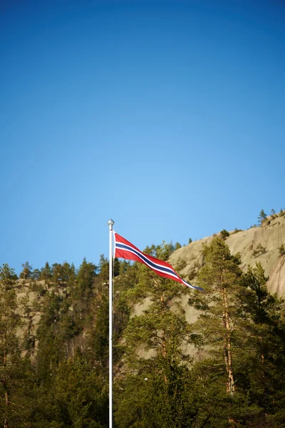 Norveç üçgen flama bayrak — Stok fotoğraf