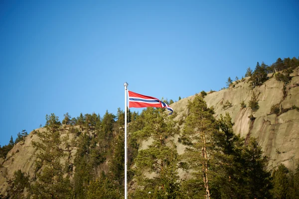 Норвежское знамя на шесте — стоковое фото
