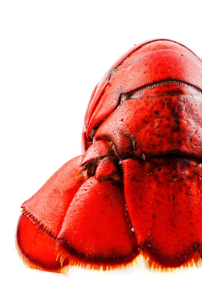 Langosta cocida roja — Foto de Stock