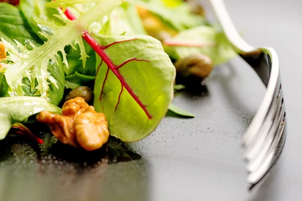 Mistura de salada com rucola — Fotografia de Stock