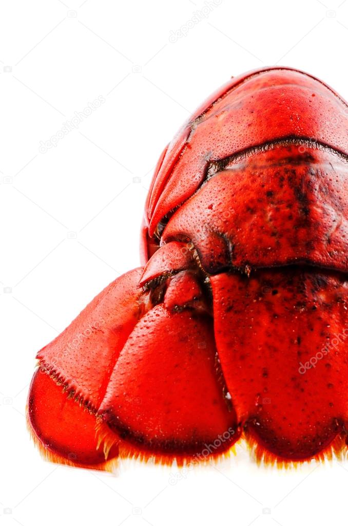red Boiled lobster