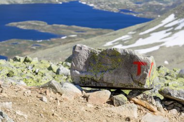Norveç Trekking Derneği belirtileri