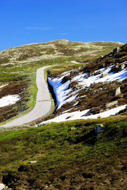 Norveç yol peyzaj dağlar