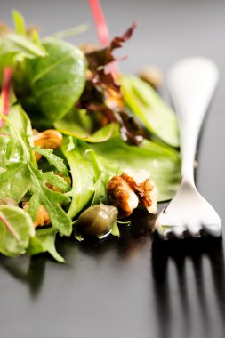 Salata karışımı ile rucola, frisee, radicchio, marul ve pl fındık