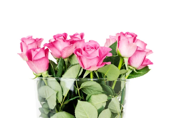 Rosas rosa em vaso — Fotografia de Stock