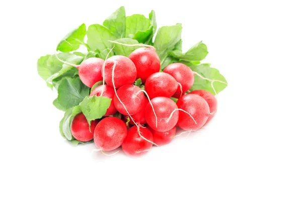 Fresh red radishes — Stock Photo, Image