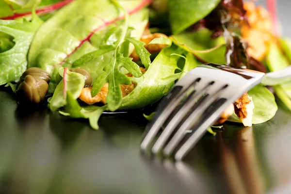 Salatmischung mit Rucola — Stockfoto