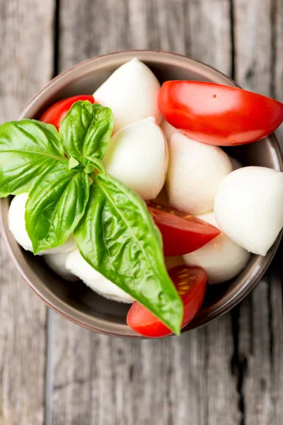 Tomaat en mozzarella met basilicum — Stockfoto