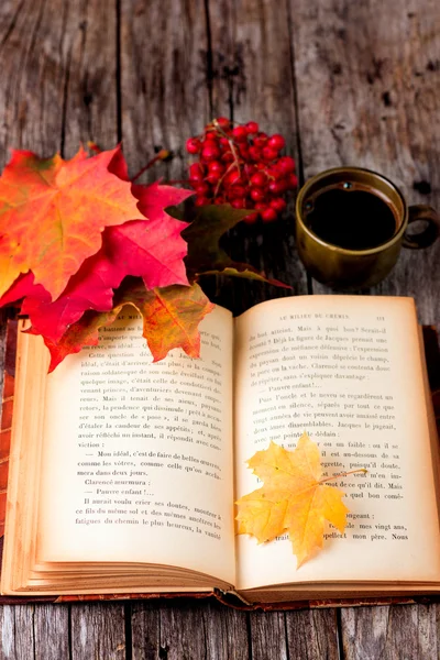 Autumn still life set on wooden table — Stock Photo, Image