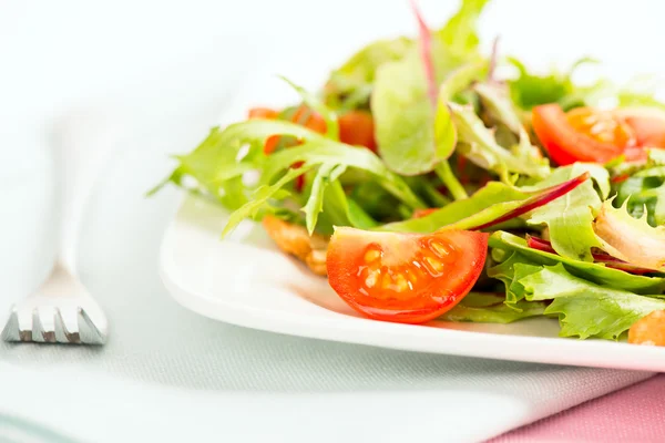 Insalata fresca con pomodori — Foto Stock