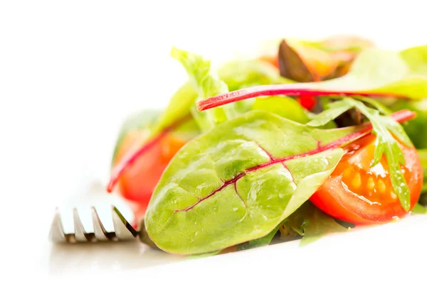 Frischer Salat mit Tomaten — Stockfoto