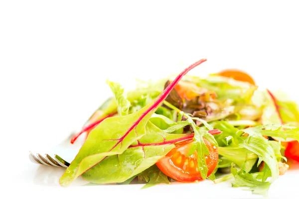 Verse salade met tomaten — Stockfoto
