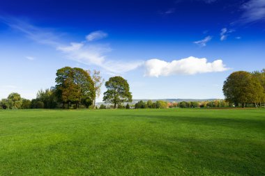 Ağaçları ile otsu çayır
