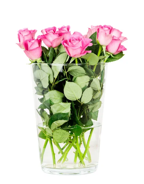 Pink roses in vase — Stock Photo, Image