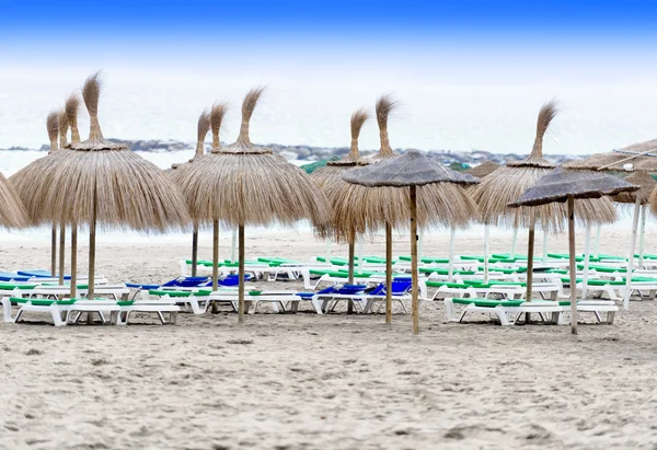 Chaise-longues para tomar el sol en la playa — Foto de Stock