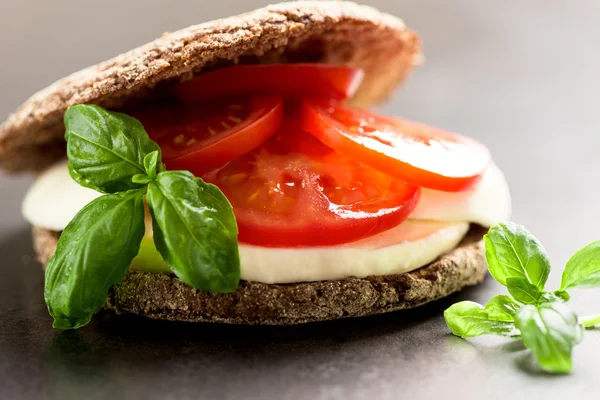 モッツァレラとトマトのサンドイッチ — ストック写真