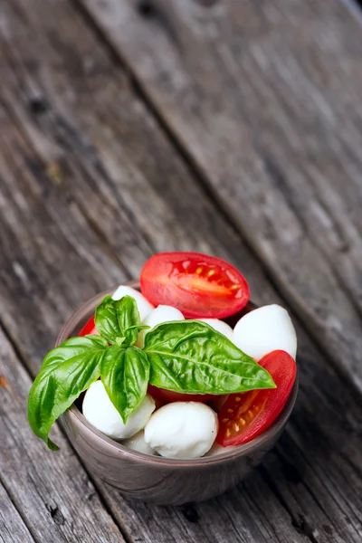 Tomater och mozzarella med basilikablad — Stockfoto