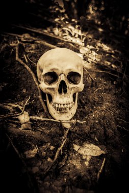 İnsan kafatası ören yeri