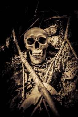 İnsan kafatası ören yeri