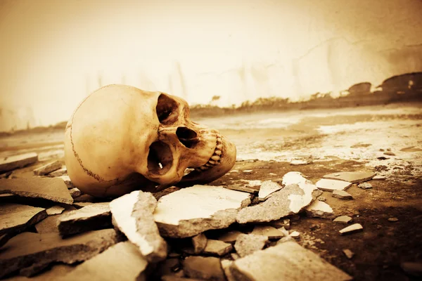 Crâne humain sur ruines place — Photo