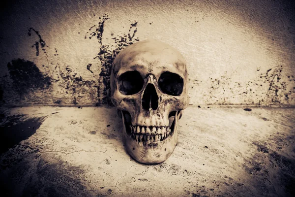 Menselijke schedel op ruïnes plaats — Stockfoto