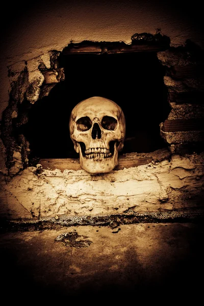Menselijke schedel over het doorbreken van de betonnen muur in verlaten huis — Stockfoto