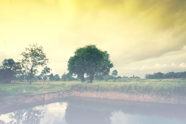 Campo bonito Paisagem Fundo — Fotografia de Stock