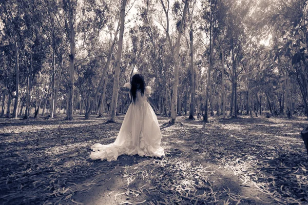 Τρομακτικό γυναίκα στο ξύλο μέρος 2, φάντασμα νύφη — Φωτογραφία Αρχείου